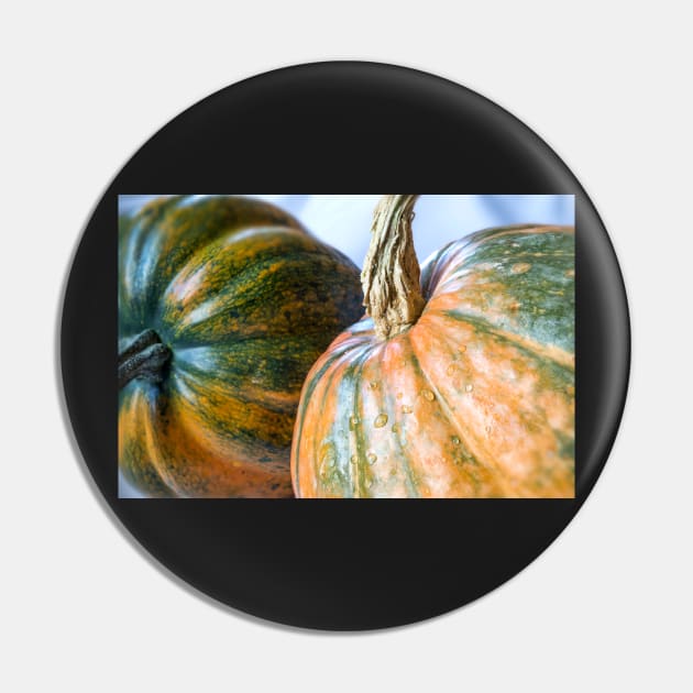 Acorn and Nugget Squash Pin by mariola5