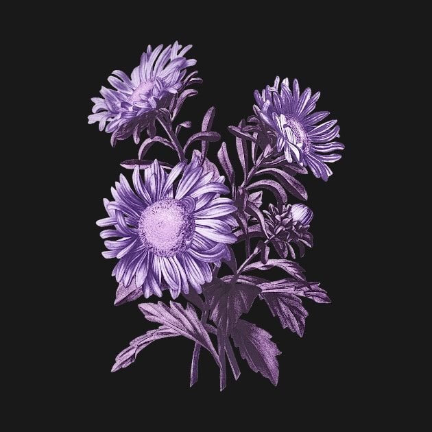 Purple Flowers by PallKris