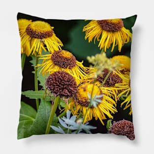 Flowers Blooming. Pillow