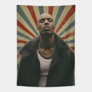 DMX Tapestry