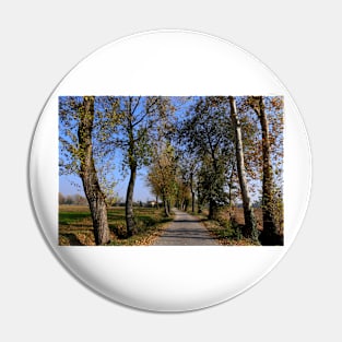 Autumn path Pin