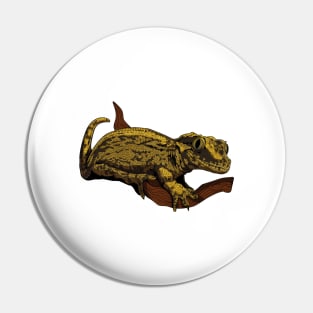 Drawing - gargoyle gecko Pin