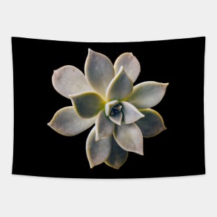 Stone flower Tapestry