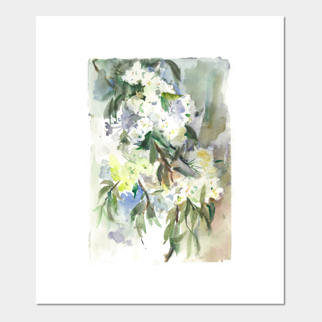 Cherry Blossom Watercolor Painting Cherry Blossom Posters And