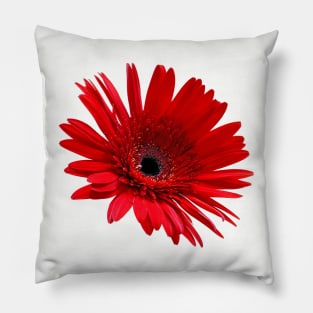 Red flower Pillow