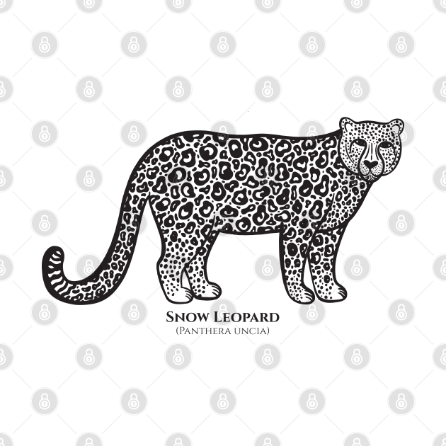 Snow Leopard with Common and Latin Names - light colors - Leopard
