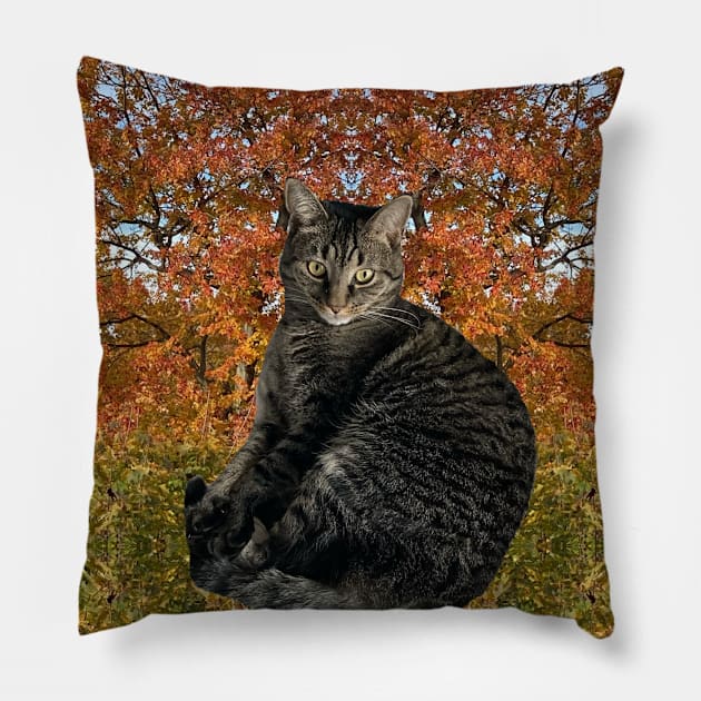 Autumn Kitty Pillow by Amanda1775