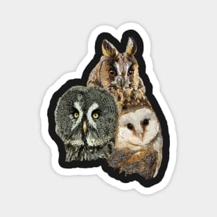 Owls Magnet