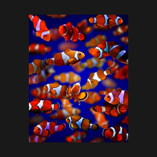 Clown Fish by MaxencePierrard