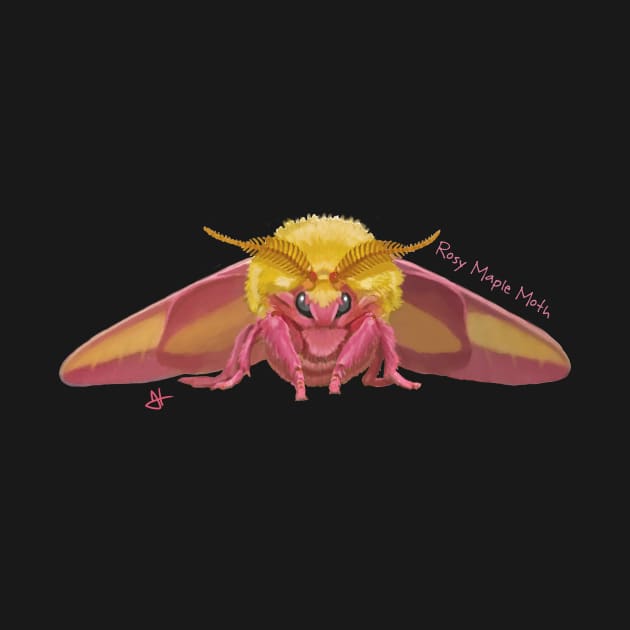 Rosy, the Maple Moth Looking at You by John Himmelman