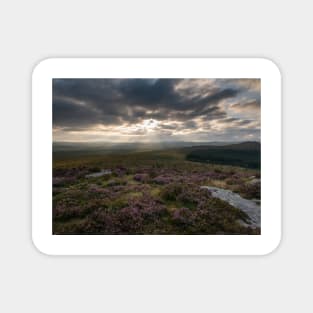 Dartmoor Rays Magnet