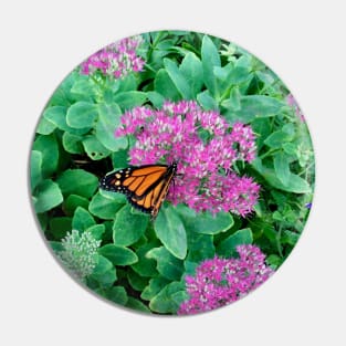 Monarch Butterfly Garden Pin