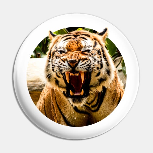 Bengal Tiger Roar Pin by onibug