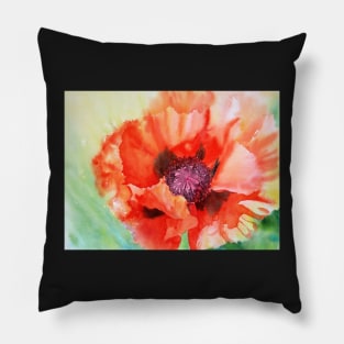 Breathtaking Beauty Pillow