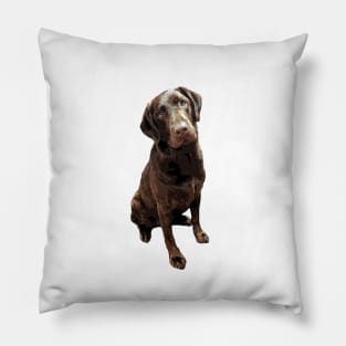 Labrador Chocolate Lab Pillow