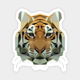 Tiger Magnet