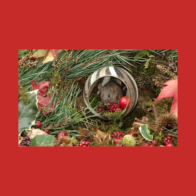 Christmouse - festive wild mouse by Simon-dell