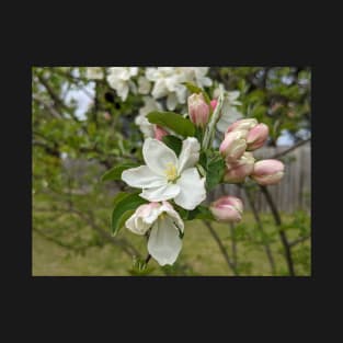 White and Pink Tree Flowers 1 T-Shirt