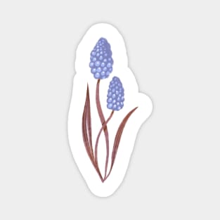 Hyacinth Magnet