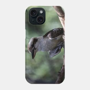 Cheeky Kookaburra Phone Case