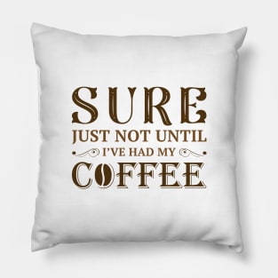 I’ve Had My Coffee Pillow