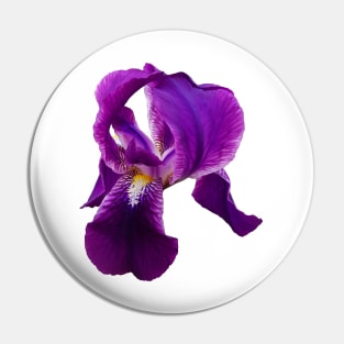 Flower Iris . Fleur de luce Pin