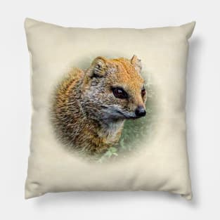 Yellow mongoose Pillow