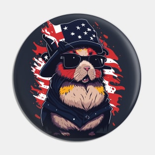 4th of july Pin