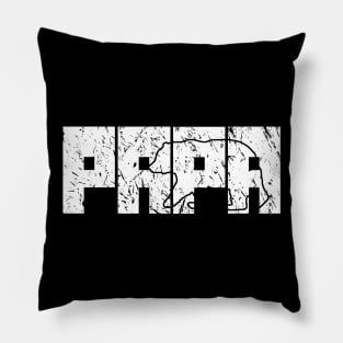 Papa Bear Vintage Graphic Design Pillow