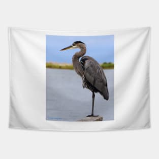 Royal Blue Heron Tapestry