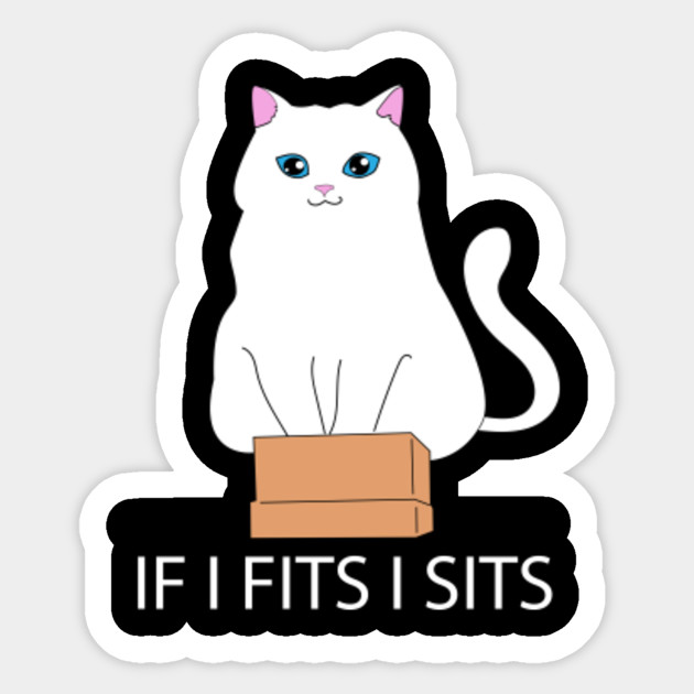 If I Fits I Sits Cat In A Box Cat Meme Fat Kitty If I Fits I