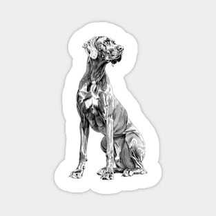 Great Dane Magnet