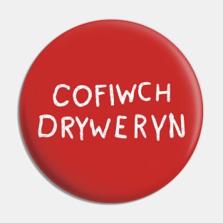 Cofiwch Dryweryn Pin