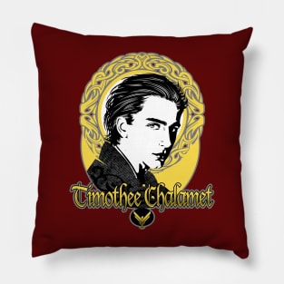 Timothee Chalamet Pillow