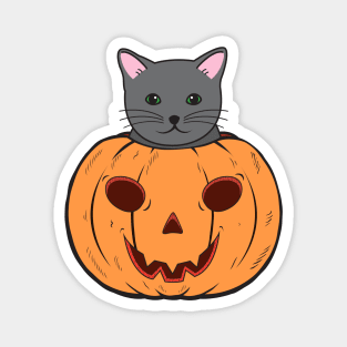 Halloween Cat With Witch Hat Stuck In A Pumpkin Head. Magnet