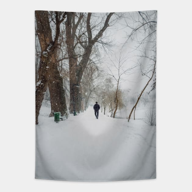 wandering the snowy park Tapestry by psychoshadow