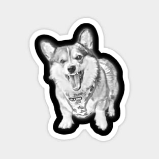 Pembroke Welsh Corgi Sketch Design Magnet