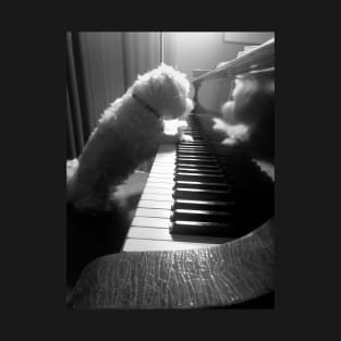 Doggo does a music T-Shirt