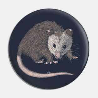 Opossum Pin