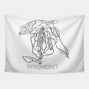 Bromont Resort 3D Tapestry