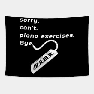 Funny Piano Teacher T-Shirt,  piano exercises Gift, Piano Teacher Shirt for Men or Women, I Teach piano exercises, Sarcastic  piano exercises Shirts Tapestry