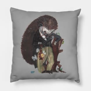 Hedgehog entomologist Pillow