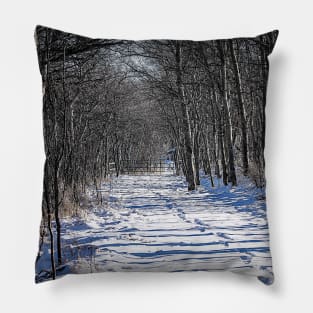 Tracks in the Snow Pillow