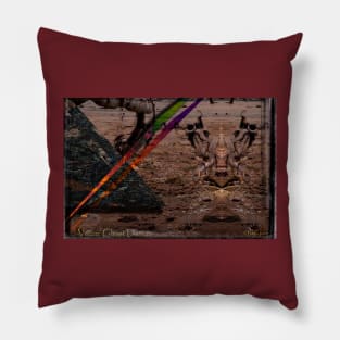 Vision: Ghost Dance Pillow