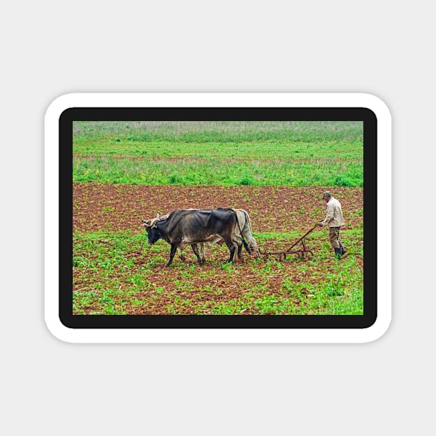 Ploughing. Magnet by bulljup