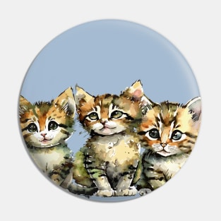 Three Sweet Tabby Kittens Pin