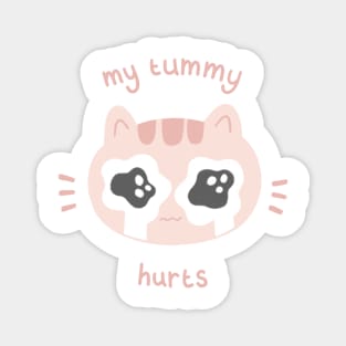 My Tummy Hurts Sad Cat Magnet