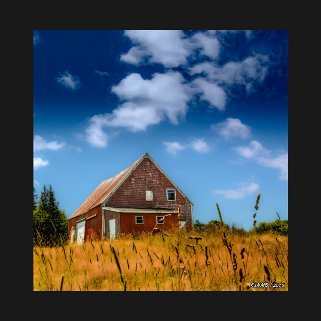 Old Barn in Cape Breton by kenmo