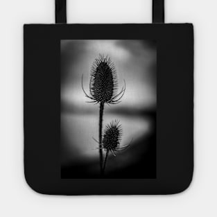 Riverside Thistles Tote