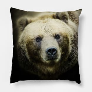 Grizzly Bear Animal Wildlife Forest Nature Adventure Hunt Spotlight Pillow